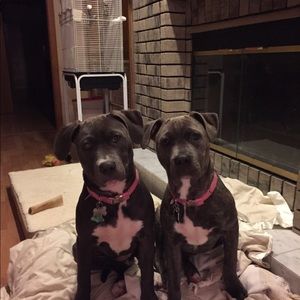 Meet your Posher, Connie